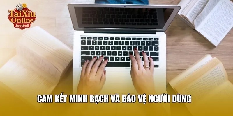 Cam kết minh bạch và bảo vệ người dùng