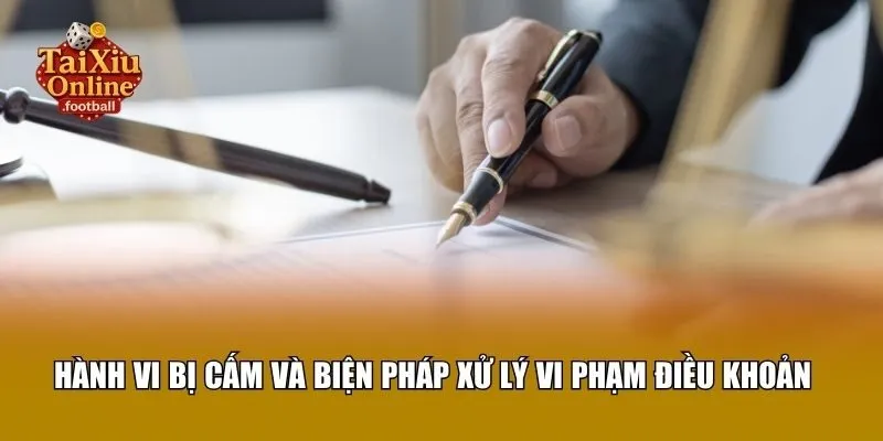 Hành vi bị cấm và biện pháp xử lý vi phạm điều khoản