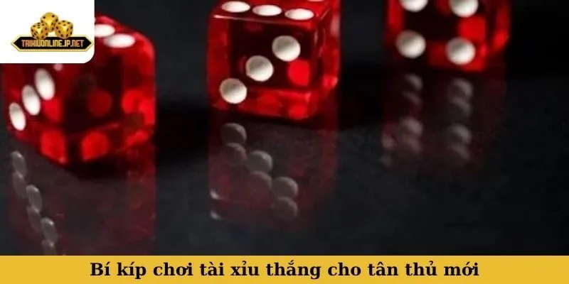 tài xỉu là gì Bí kíp chơi tài xỉu thắng cho tân thủ mới