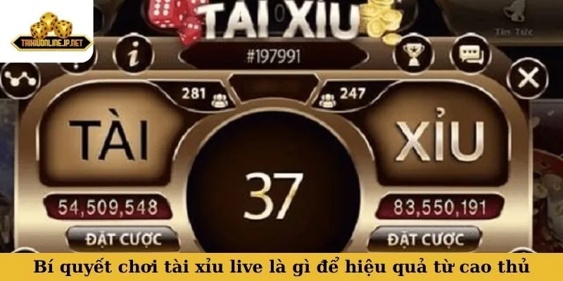 chơi tài xỉu live là gì Bí quyết chơi tài xỉu live là gì để hiệu quả từ cao thủ
