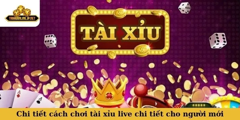 chơi tài xỉu live là gì Chi tiết cách chơi tài xỉu live chi tiết cho người mới
