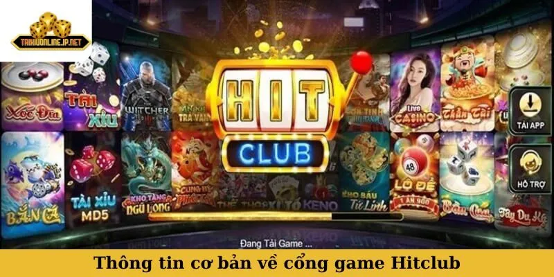 Thông tin cơ bản chung cổng game Hitclub