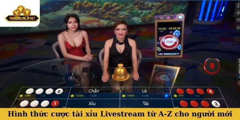Hình thức cược tài xỉu Livestream từ A-Z cho người mới