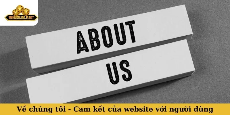 Về chúng tôi - Cam kết của website với người dùng